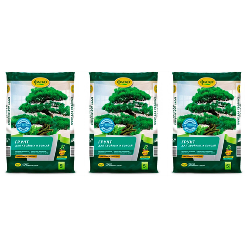 ���� ����� ����� ��������� ������� ��� ������� � ������, 5 �, 2.3 ��, 3 ��., ������ �� 1643 ���