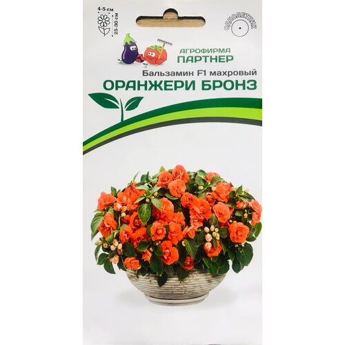 ���� ������ ���������� F1 ������� ��������� 