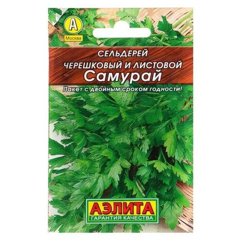 ���� ������ ��������� �������� 