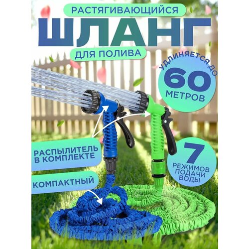 ���� ���������� ����� 60 ������, ��������������� ����� ��� ������ � �������� ������������, ��� ����, �������, ������������, 1/2, ������ �� 1019 ���