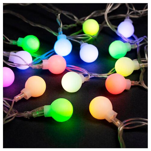 ���� �������� 