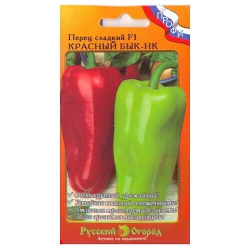 ���� ������ ����� �������� 