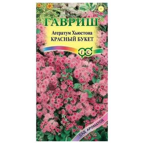 ���� ������. �������� 