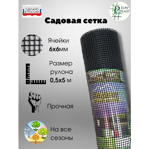 ���� ����� ����������� ������ 6*6 �� ������ ������ 50 �� ����� 5 � ������, ������ �� 1200 ���