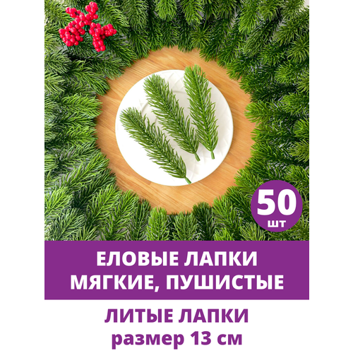 ���� ������ ����� �������������, ��� ������, ����������, �������, ������� 13 ��, 50 ����, ������ �� 660 ���