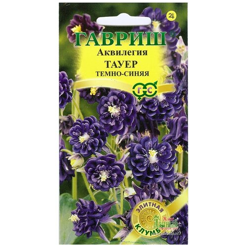 ���� ������, ��������� ����� �����-�����, ������������, ����� ������� ������ 10 �����, ������ �� 642 ���