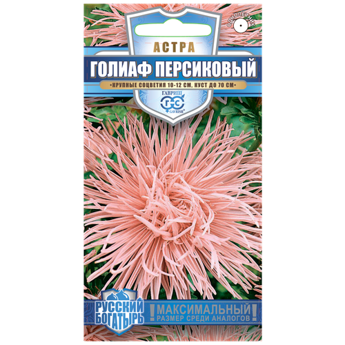 ���� ������. ����� ���������� ������-�������� 