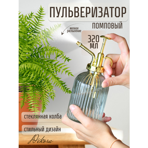 ���� ������������� ��� ���� 