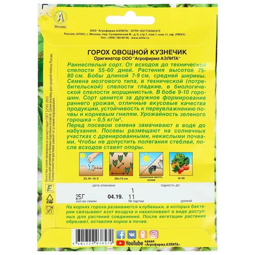 ���� ������ ����� 