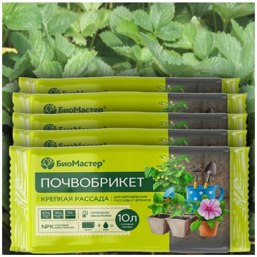 ���� ����������� ����� ��� �������, ��� ���������� ��������, ������������� ��������� ������� ������� 50�, 5 �������� * 10�, ������ �� 1199 ���