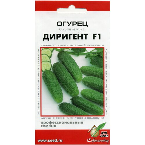 ���� ������ �������� F1, 6 �����, ������ �� 299 ���