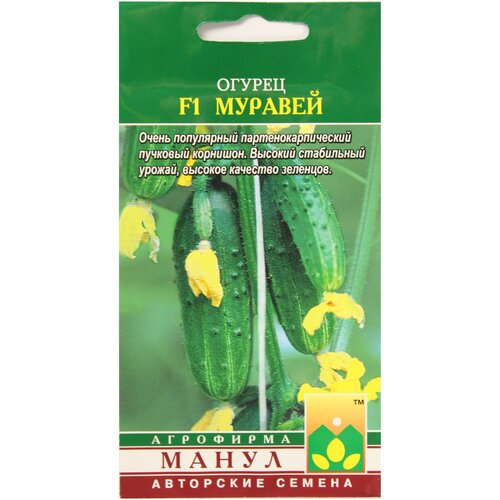 ���� ������ ������ �������� F1, ������ �� 77 ���