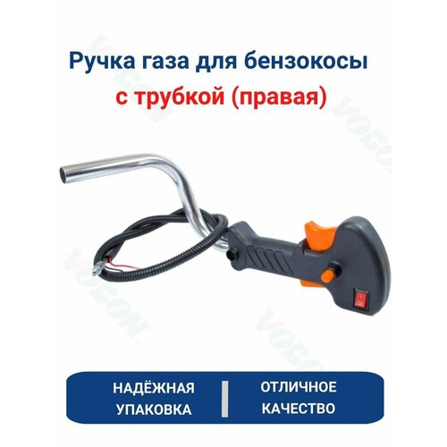 ���� ����� ���� ��������� � ����� � ������� (������), ������ �� 449 ���