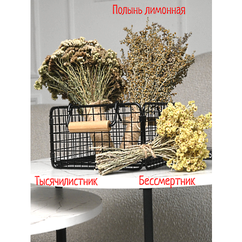         ( , , ) .   .,   984 