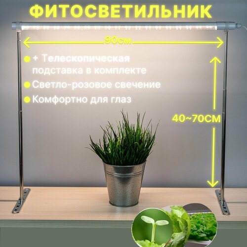 ���� ��������� ��� �������� � ������� ������� �������, �������� �������������� � ���������� � ���������, ������-������� ��������, ������ �� 2100 ���