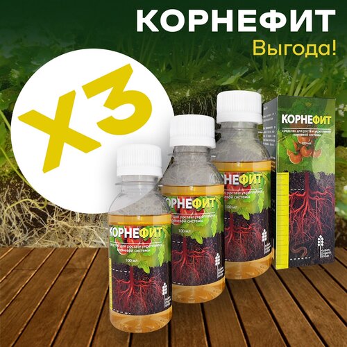 ���� ��������� ��� �������� �������, 3 ��, 300 ��, ������ �� 889 ���