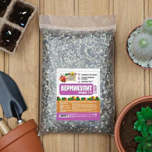 ���� ���������� 