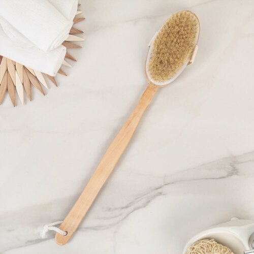 ���� ������ ����� �������� 586035, ������ �� 424 ���