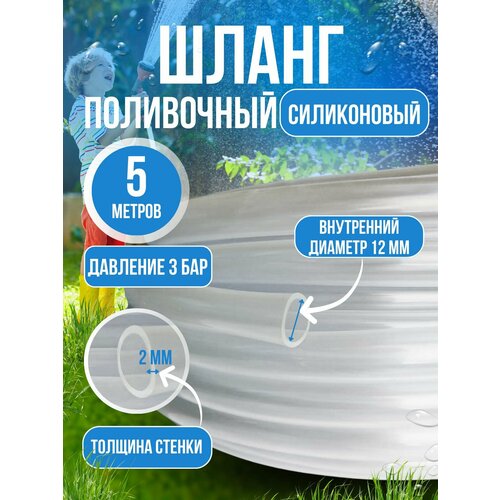 ���� ����� ������� ���������� ����������� 12 �� 5 ������, ������ �� 560 ���