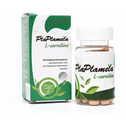  Plaplamela L- - 120    -     , -, 