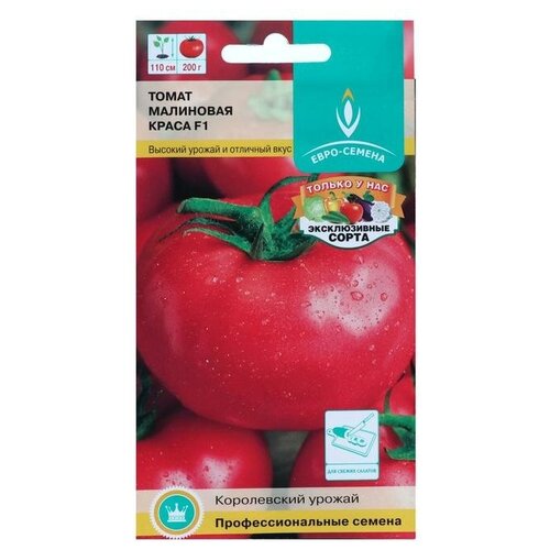 ���� ������ ����� 