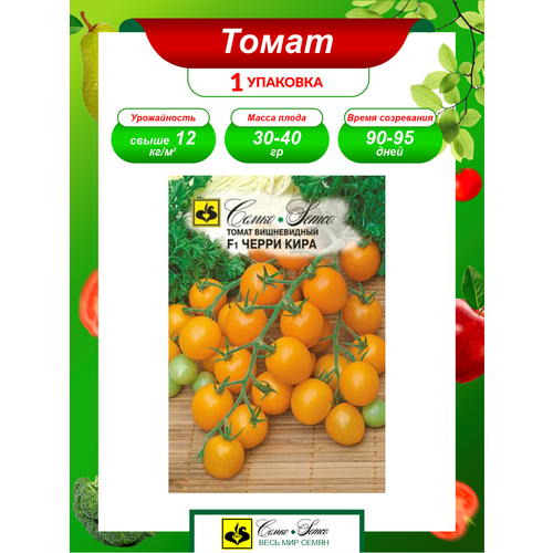 ���� ������ ����� ����� ���� F1 5 �� �����, ������ �� 566 ���