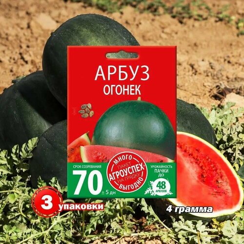 ���� ������ ��������� ����� ������ 4� 3 ��������, ������ �� 489 ���