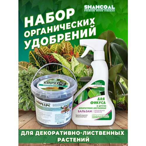 ���� ��������� ������������� ��� ����� ������� + ��������� ��� ������, ������ �� 670 ���