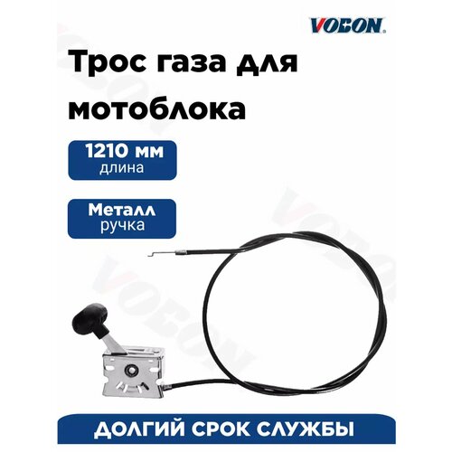 ���� ���� ���� ��� ��������� 1210 ��, � ����� � ������, ������ �� 623 ���