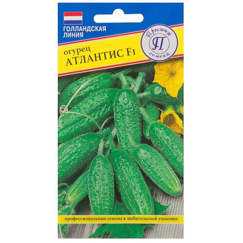 ���� ������ ������ �������� F1, ������ �� 269 ���