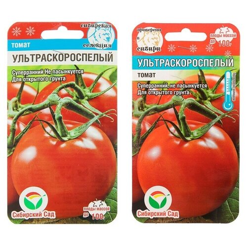 ���� ������ ����� 