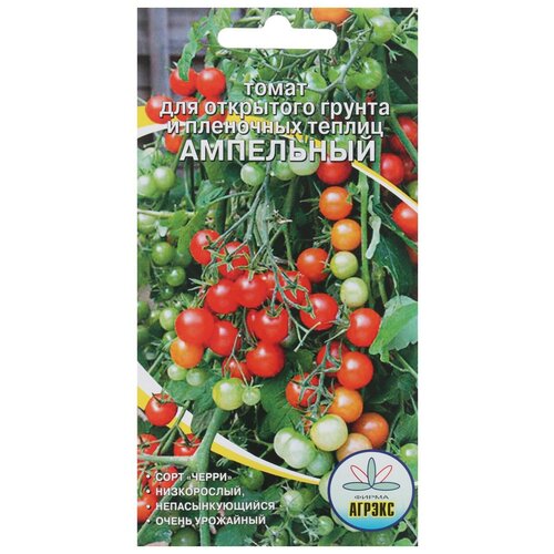 ���� ������ ����� 