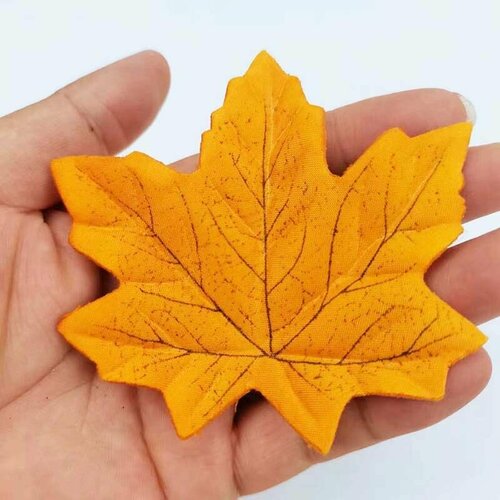 ���� ����� ������� 