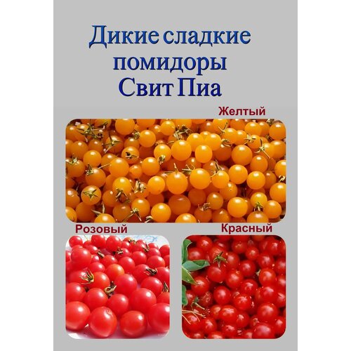 ���� ���� ��� ����� ������������� ����� �������, ������ �� 600 ���