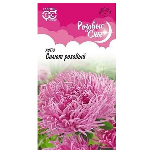 ���� ������. ����� ���������� 