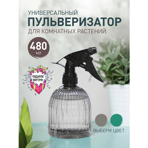 ���� ������������� ��������� �������� Iulkapu 0,5 � � ������������ ����������, ������ �� 250 ���