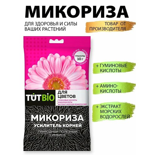 ���� ��������� �������� ���������� ����� ��� �������� � ������, ������ �� 209 ���