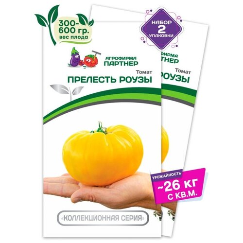 ���� ������ ������ 