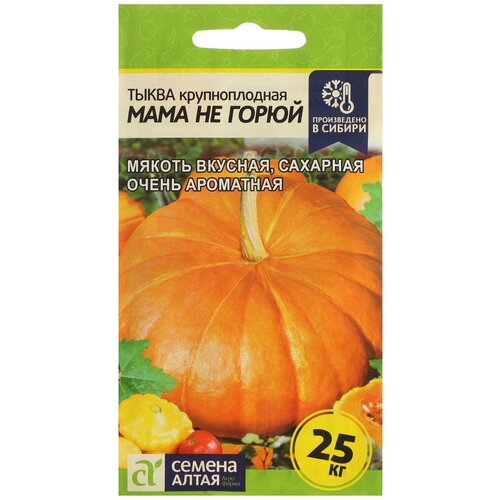 ���� ������ ����� 