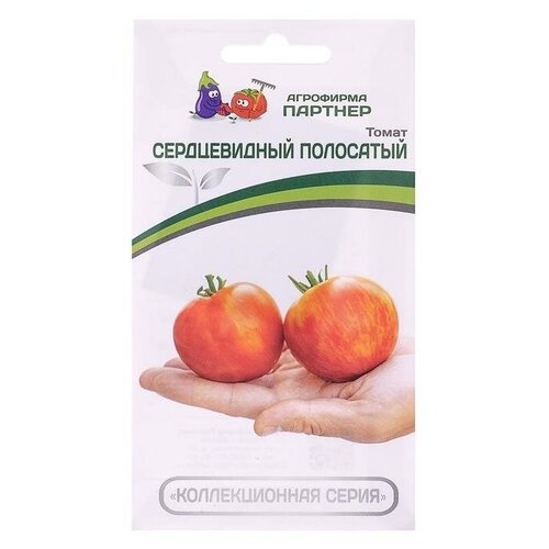 ���� ������ ����� 