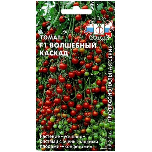 ���� ������ ����� 