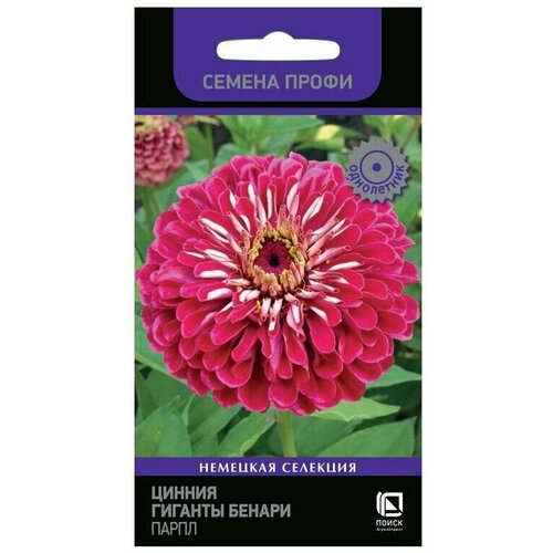 ���� ������ ������ ������� ������ ����� ��������� ������ ����� ���������� 10 ��., ������ �� 119 ���