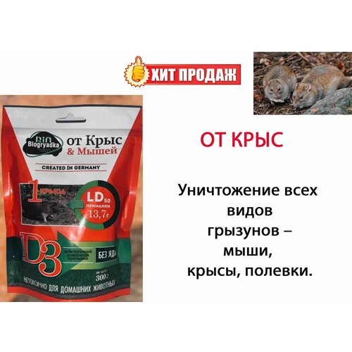 ���� �������� �� ���� � ����� ��������� ����������� 300 �, ������ �� 1431 ���