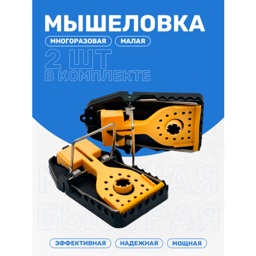   ,     , , -, 2 ,   249 