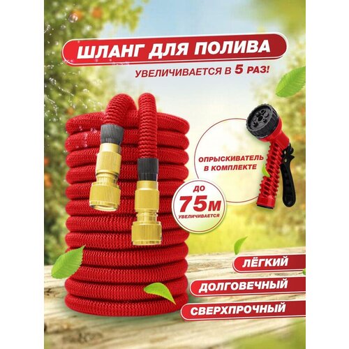 ���� ����� ������� ��������������� 75 ������, ������ �� 2500 ���