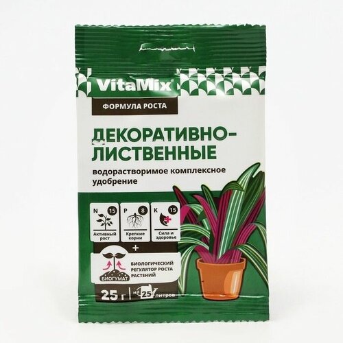    -, VitaMix, 25  5 .   -     , -, 