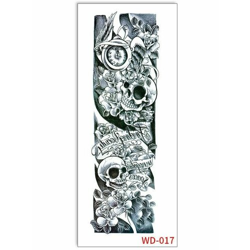 ���� ���������� ��������� ���� ����� �� �������� / 43 � 15 �� ����, ������ �� 560 ���