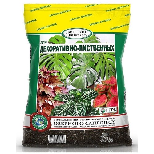 ���� �������� ���� ��� �����������-���������� �������, 5 �, 1.36 ��, ������ �� 249 ���