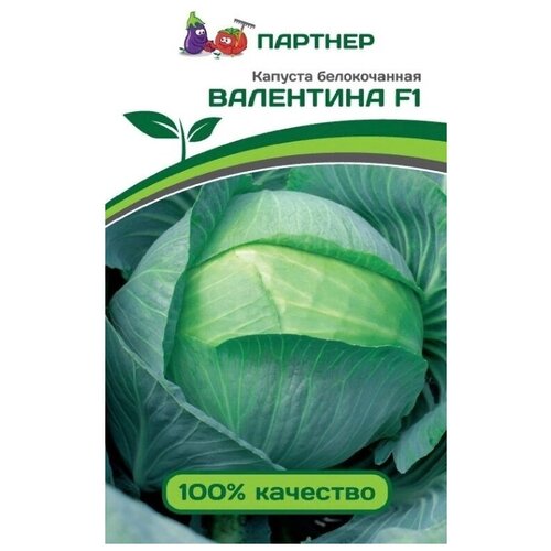 ���� ������ ������� �/� ������� ��������� F1 0,2�, ������ �� 287 ���