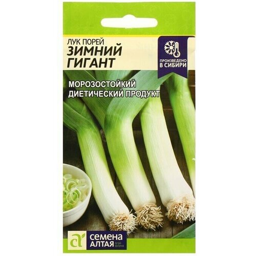 ���� ������ ��� ����� 